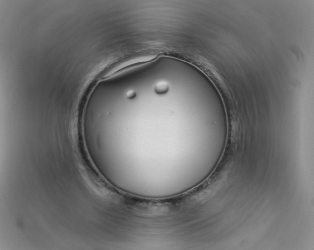 X0000115220443200911121928