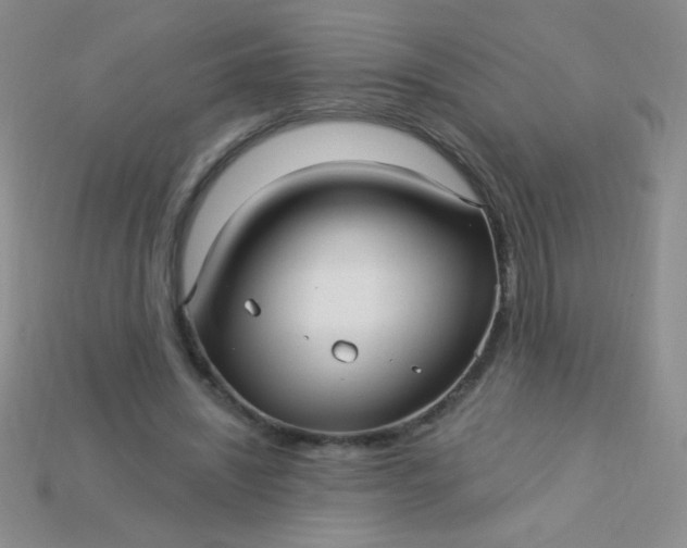 X0000115220444200911121928