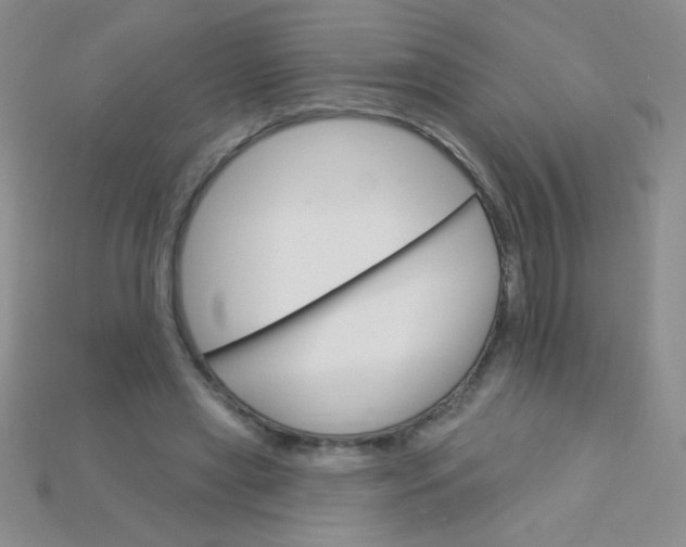 X0000115220445200911121928