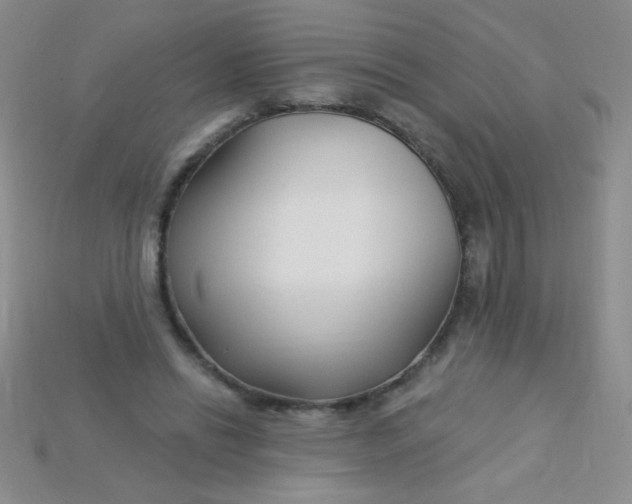 X0000115220446200911121928