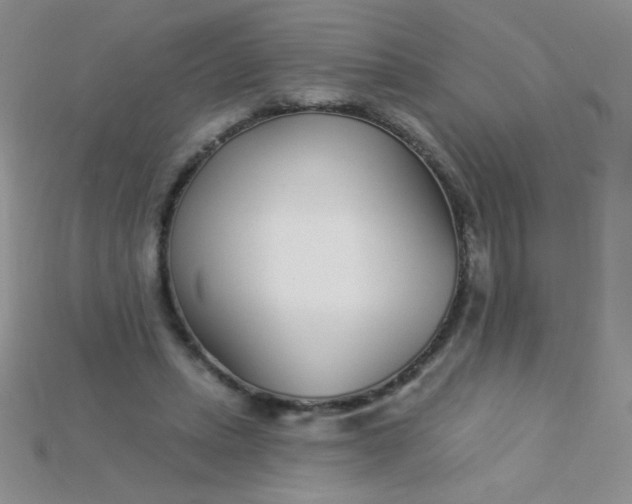 X0000115220447200911121928