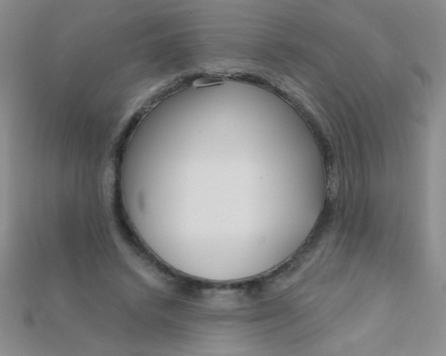 X0000115220448200911121928