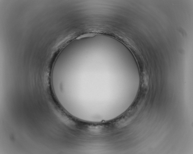 X0000115220450200911121928