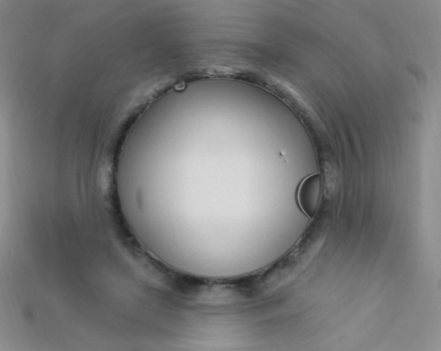 X0000115220451200911121928