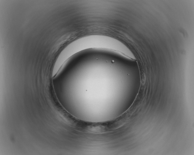 X0000115220452200911121928