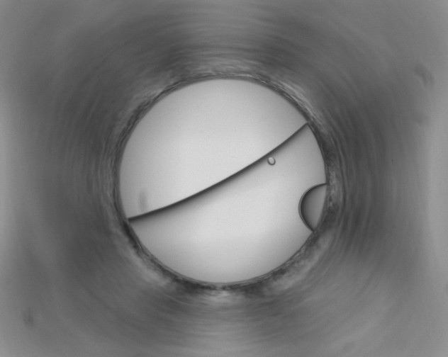 X0000115220453200911121928