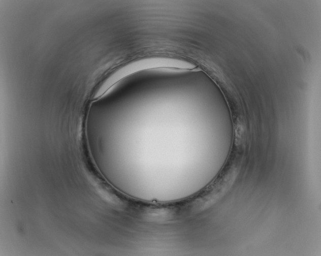 X0000115220454200911121928