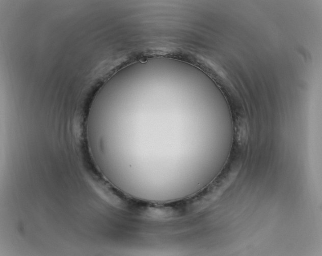 X0000115220455200911121928