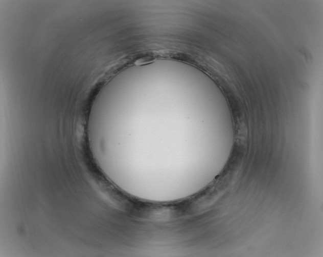 X0000115220456200911121928