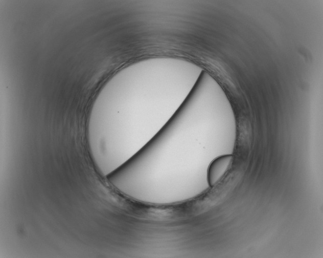 X0000115220457200911121928