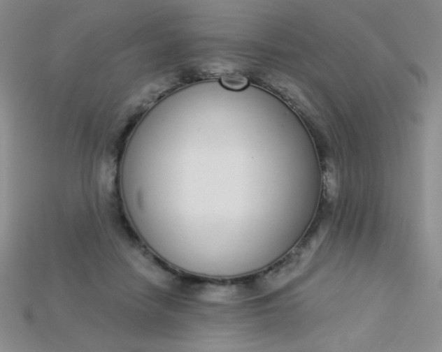 X0000115220458200911121928