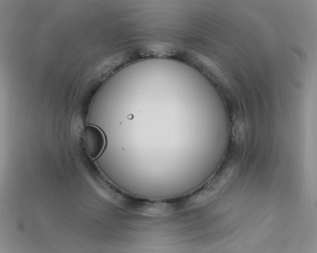 X0000115220459200911121928