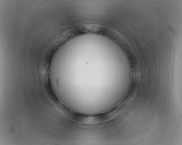 X0000115220460200911121928