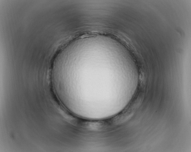 X0000115220462200911121928