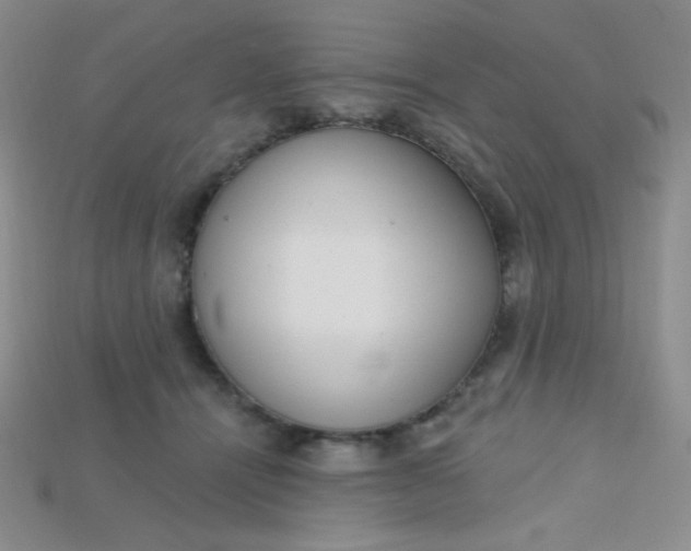 X0000115220464200911121928