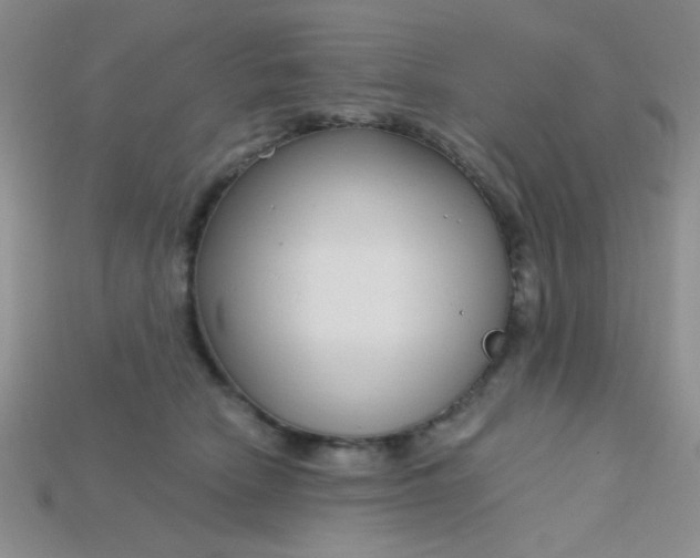 X0000115220466200911121928