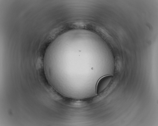 X0000115220467200911121928