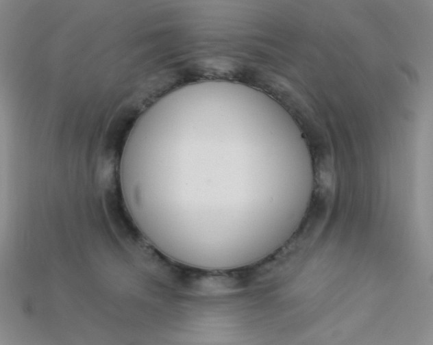 X0000115220468200911121928