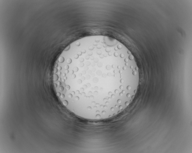 X0000115220469200911121928