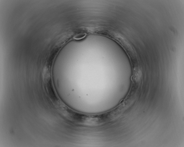 X0000115220471200911121928