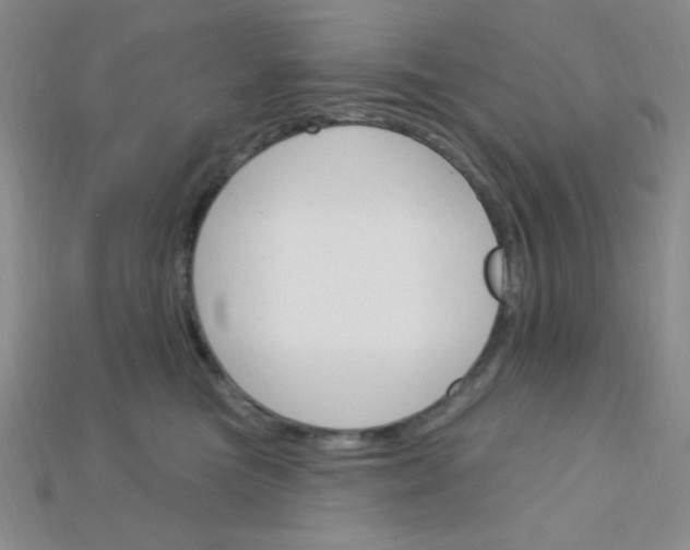 X0000115220473200911121928