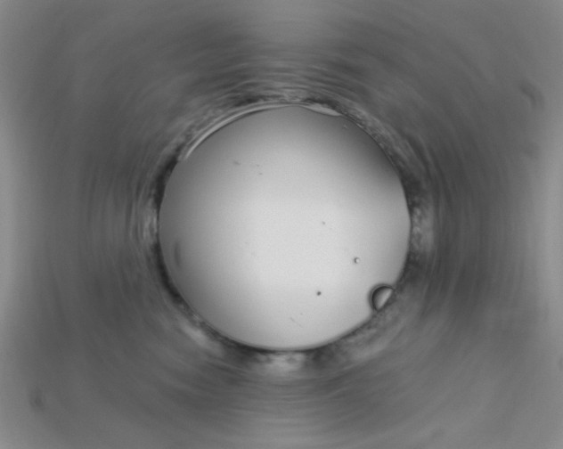 X0000115220474200911121928