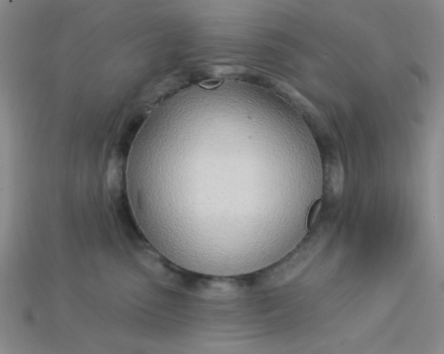 X0000115220475200911121928