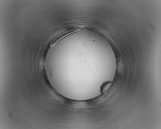 X0000115220476200911121928