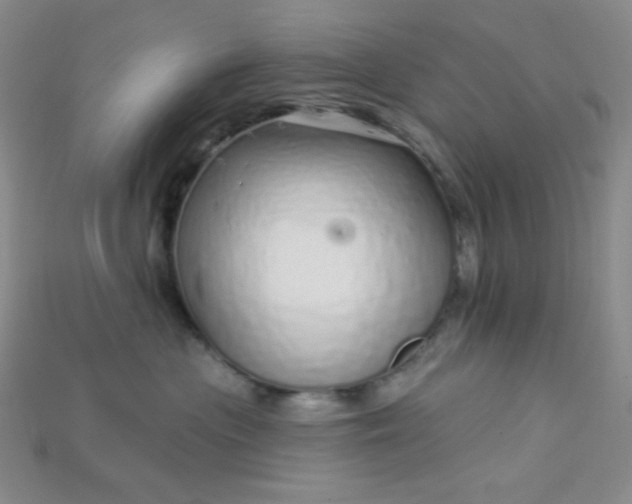 X0000115220477200911121928
