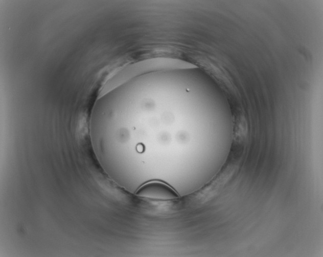 X0000115220478200911121928