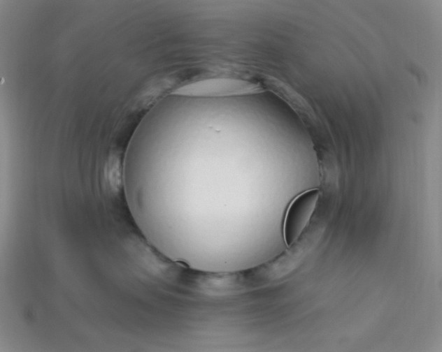 X0000115220479200911121928