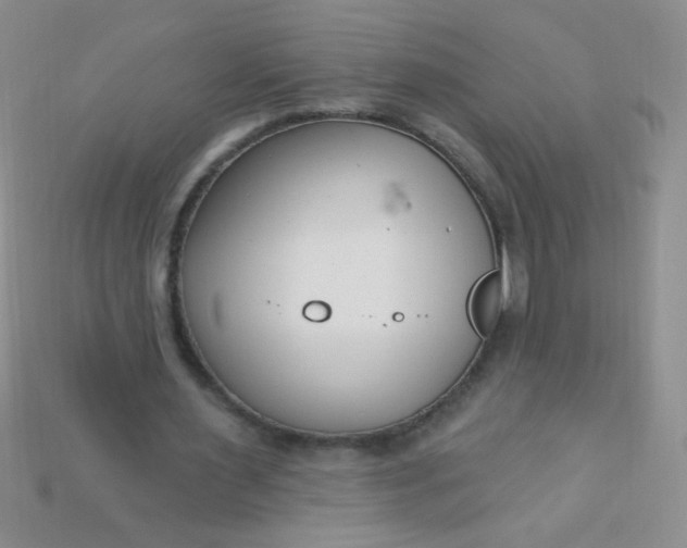 X0000115220483200911121927