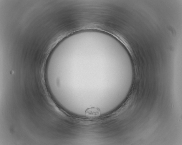X0000115220485200911121927