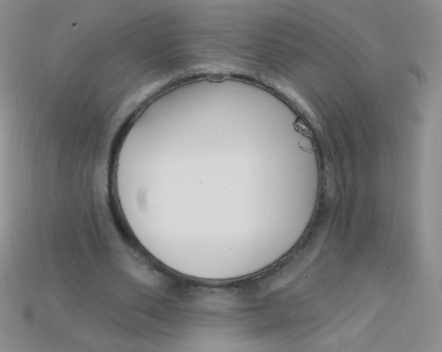 X0000115220486200911121927