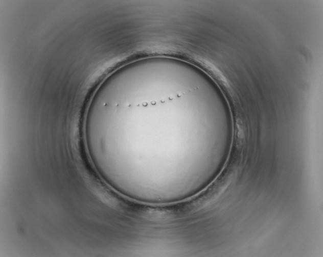X0000115220487200911121927