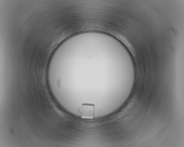 X0000115220489200911121927