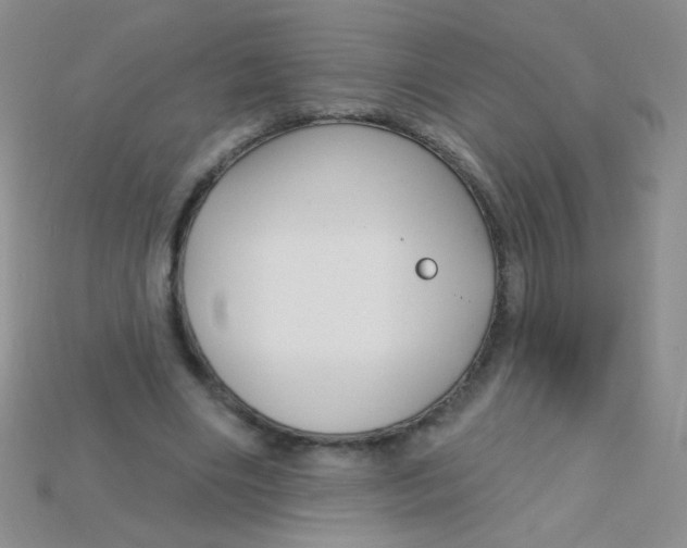 X0000115220490200911121927