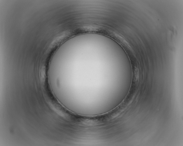X0000115220494200911121927