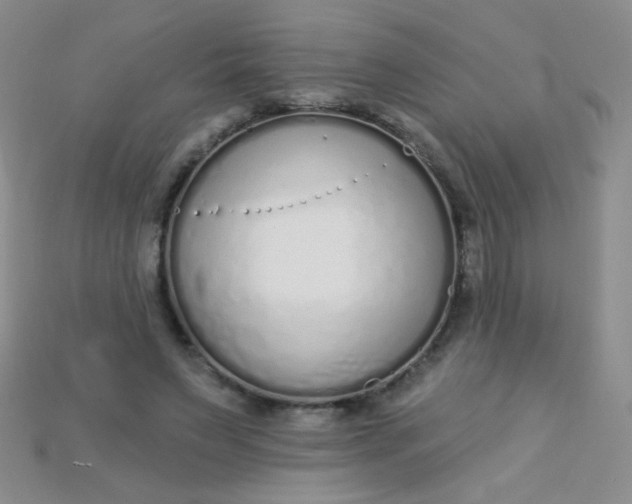 X0000115220495200911121927