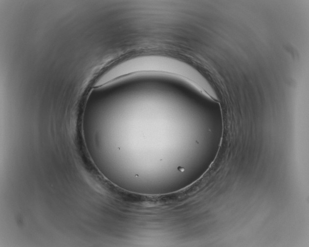 X0000115220496200911121927