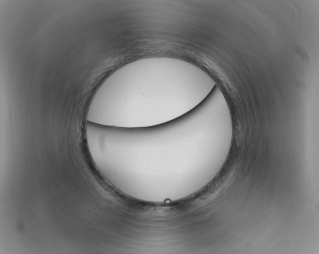 X0000115220497200911121927