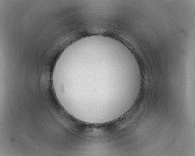 X0000115220498200911121927