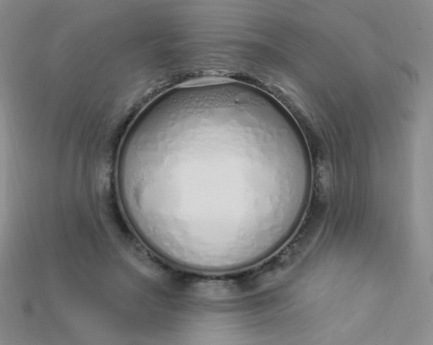 X0000115220499200911121927