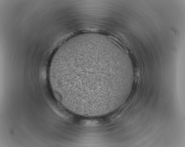 X0000115220500200911121927