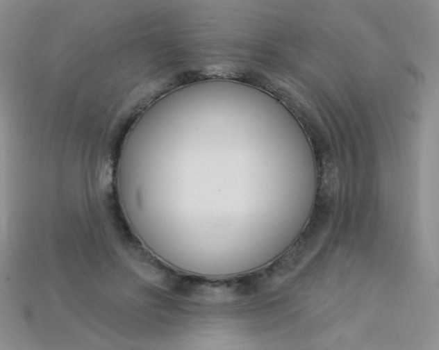 X0000115220502200911121927