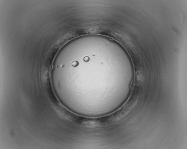X0000115220503200911121927
