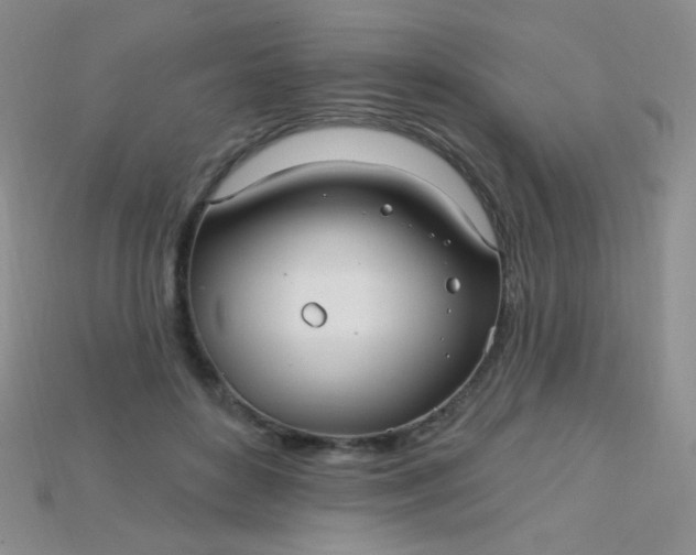 X0000115220504200911121927