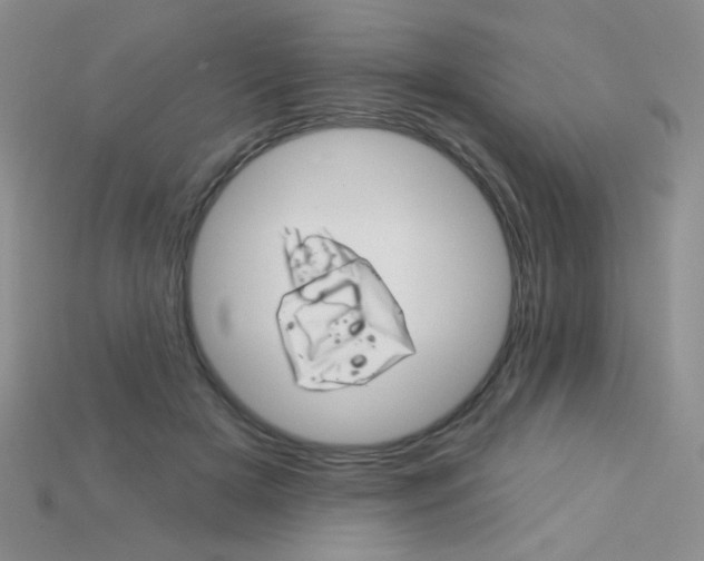 X0000115220505200911121927