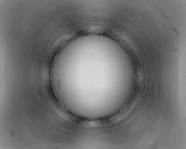X0000115220506200911121927