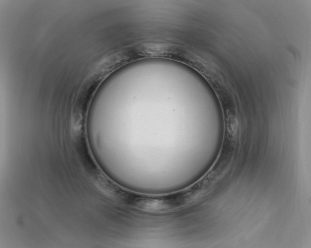 X0000115220507200911121927